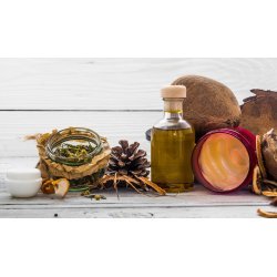 Destilador de aceites esenciales industrial con cuba basculante de 250Lt y carro para flores, hierbas y frutas