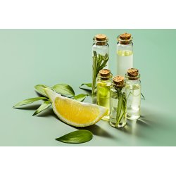 Destilador de aceites esenciales industrial con cuba basculante de 250Lt y carro para flores, hierbas y frutas