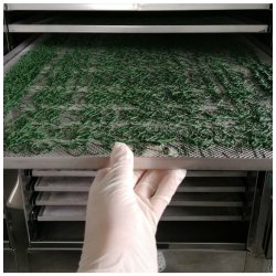 Deshidratador profesional BioPro con control de humedad 12 cestas 40x60