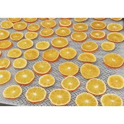 Deshidratador profesional BioPro con control de humedad 12 cestas 40x60