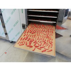 Deshidratador industrial BioMast de 40 bandejas 70x50