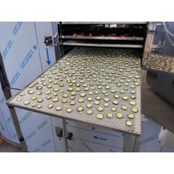 Deshidratador industrial BioMast Plus WIFI de 72 bandejas 70X50 con control de humedad y pantalla táctil programable