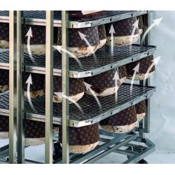 Carro para Panettone y Colomba giratorio con bandeja de 60x45 en acero inoxidable para horno rotativo