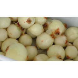 Pelador de cebollas industrial con filtro para residuos - Capacidad 8 kg