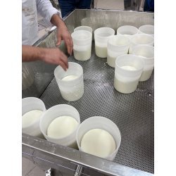 Mesa para distribución de cuajada, preprensado en moldes y calentamiento de queso de 240x80cm