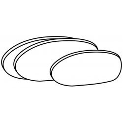 Mandolina